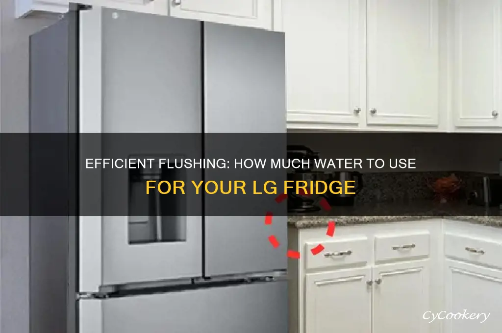 how much eater to flush lg refrigerator