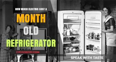 Monthly Electric Costs of an Aging Refrigerator: What to Expect