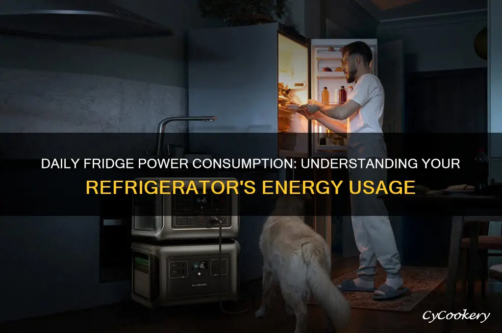 how much electricity does a refrigerator take per day