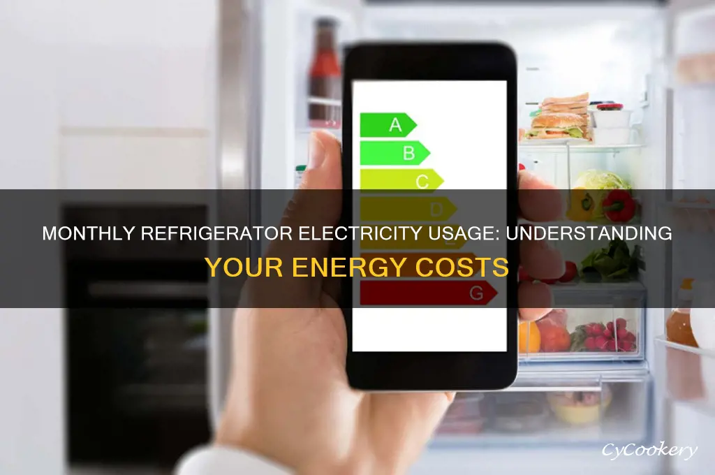 how much electricity does a refrigerator use per month