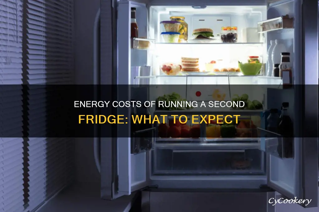 how much electricity does a second refrigerator use