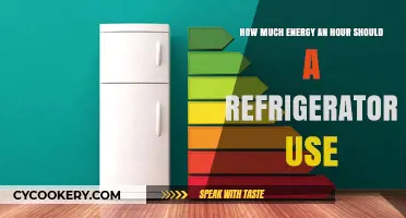 Refrigerator Energy Usage: How Much Power Should It Consume Hourly?