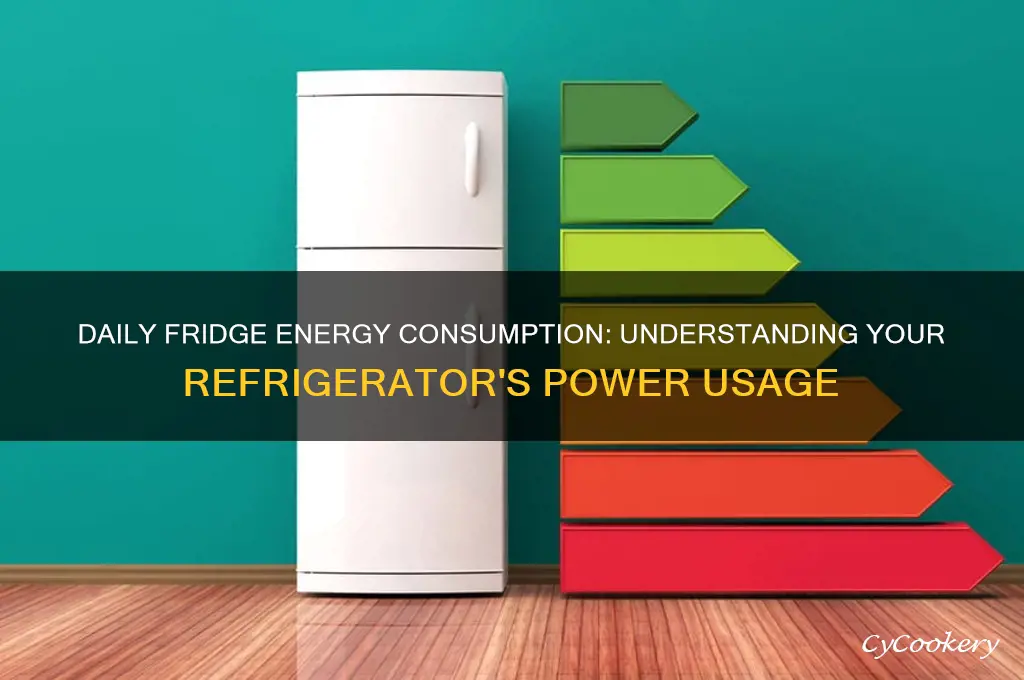 how much energy does a refrigerator use per day