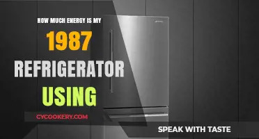 1987 Fridge Energy Usage: Uncovering Your Old Refrigerator's Power Consumption