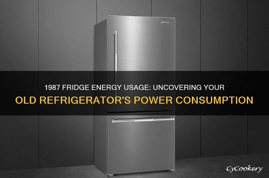 how much energy is my 1987 refrigerator using