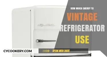 Vintage Refrigerators: Uncovering Their Surprising Energy Consumption Truths