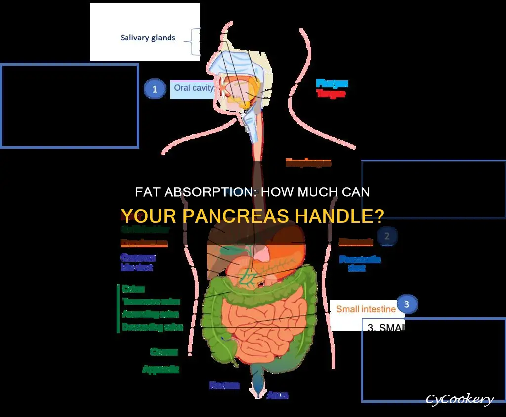 how much fat can my pan reatic
