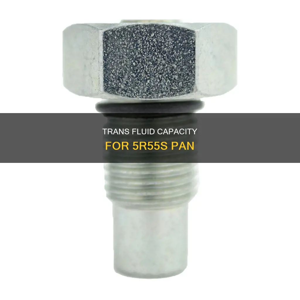 how much fluid 5r55s pan trans