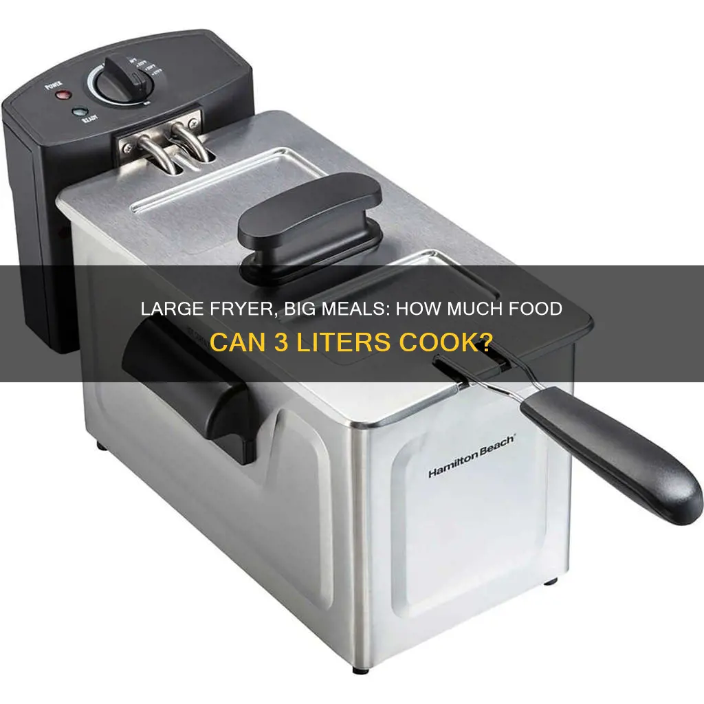 how much food will a 3 liter fryer cook