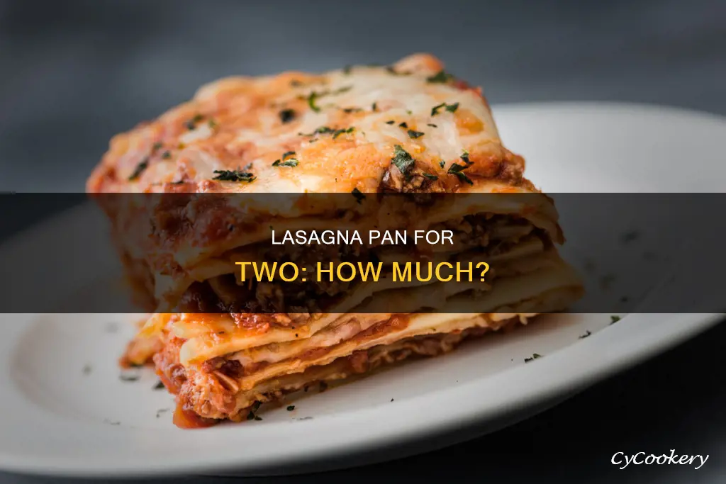 how much for a pan of lasagna for 2