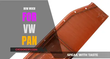 VW Pan: Costly but Worth It?