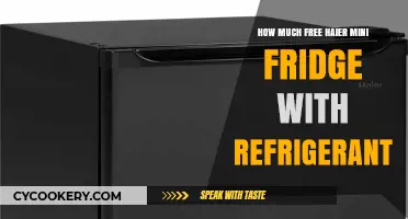 Haier Mini Fridge with Refrigerant: Cost and Free Options Explained