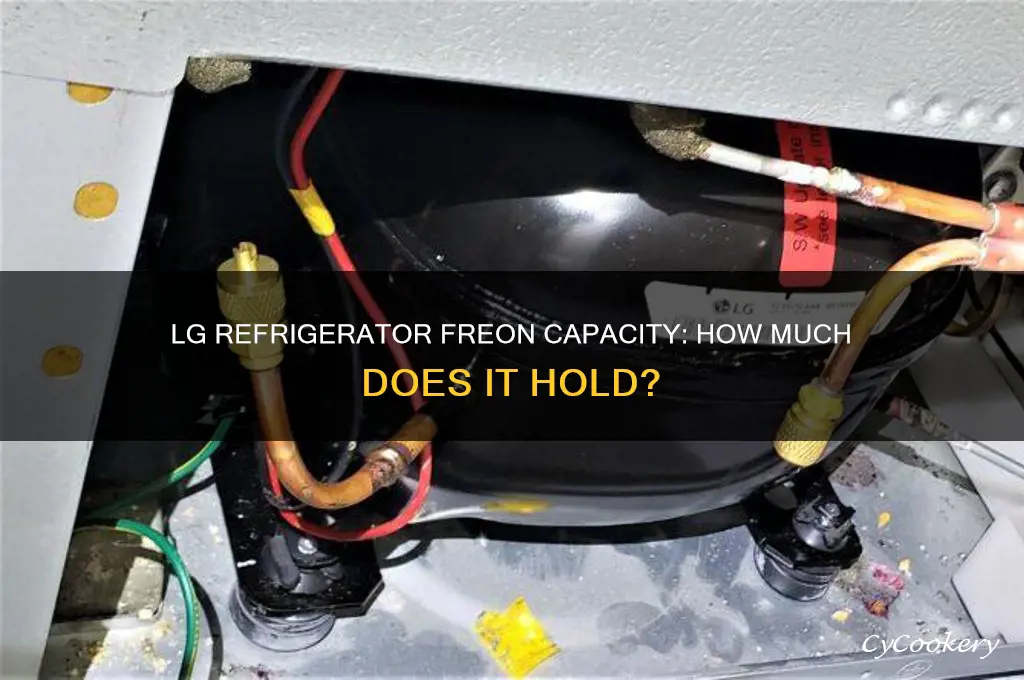 how much freon does a lg refrigerator hold
