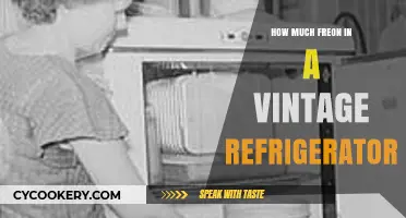 Vintage Refrigerator Freon Levels: Understanding Your Old Fridge's Needs
