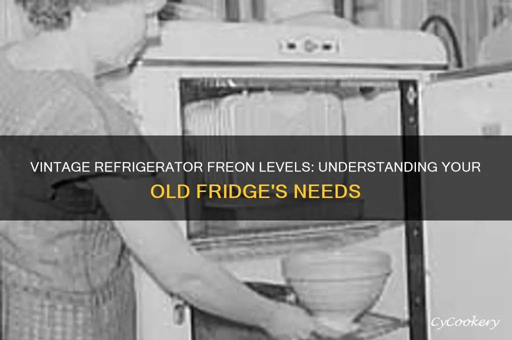 how much freon in a vintage refrigerator