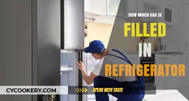 Understanding Refrigerator Gas Fill: Essential Insights for Optimal Performance