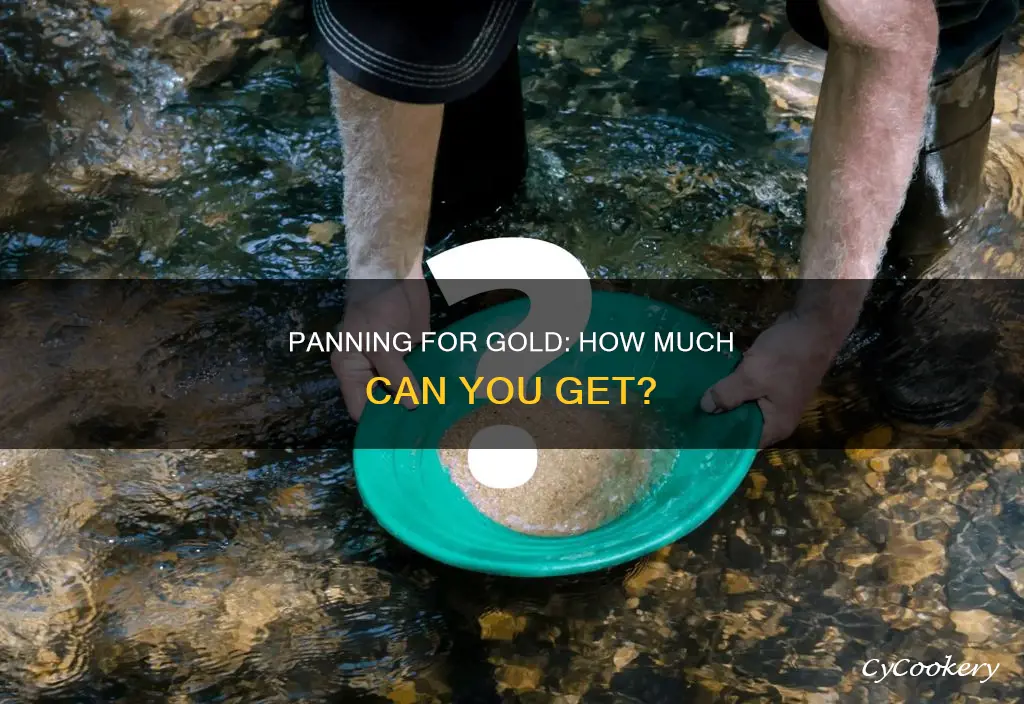 how much gold by panning