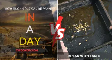 Panning for Gold: A Day's Worth?