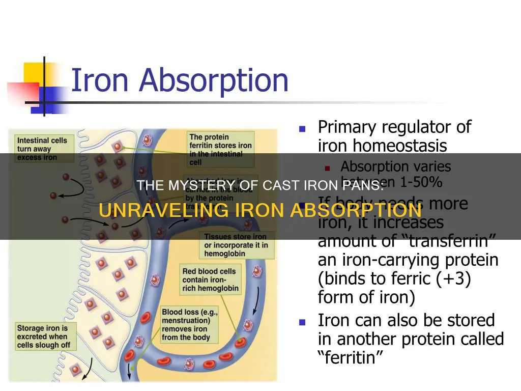 how much iron is absorbed from cast iron pans