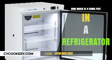 Understanding 4 Cubic Feet Refrigerator Capacity: Is It Enough for You?