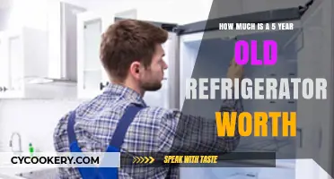 Valuing Your 5-Year-Old Fridge: Resale Worth and Depreciation Guide