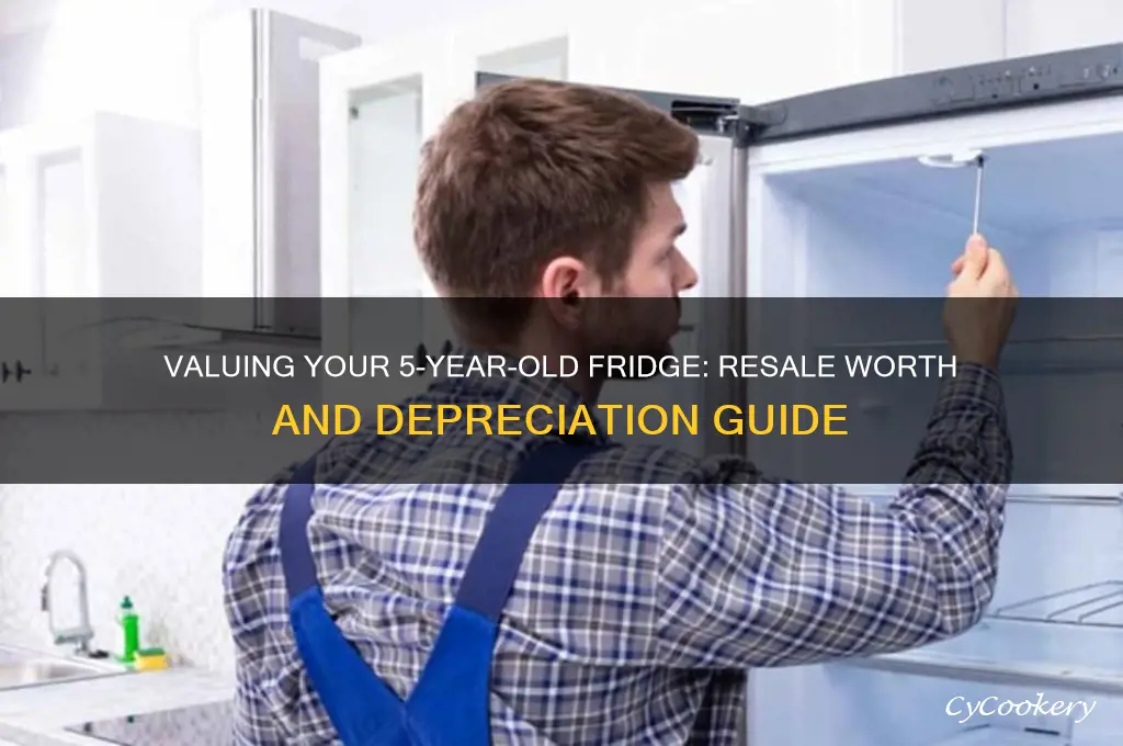 how much is a 5 year old refrigerator worth