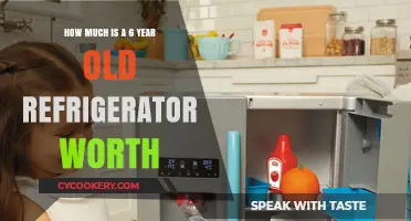 Valuing Your 6-Year-Old Fridge: Resale Worth and Depreciation Guide