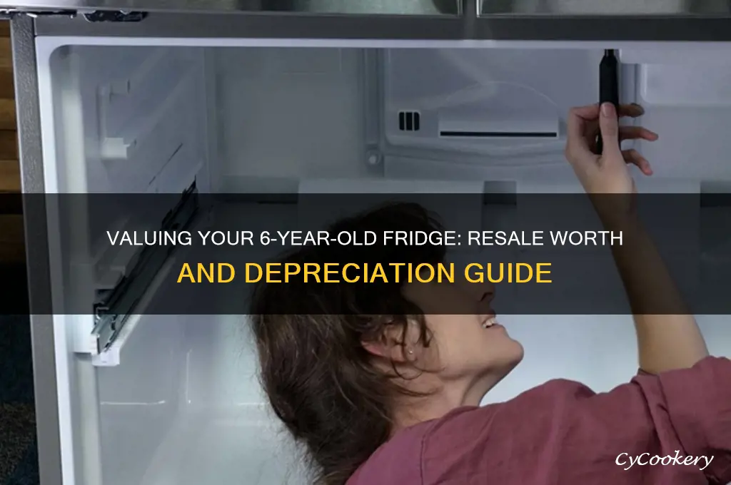 how much is a 6 year old refrigerator worth