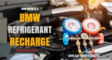 BMW Refrigerant Recharge Cost: What to Expect for Your AC Service