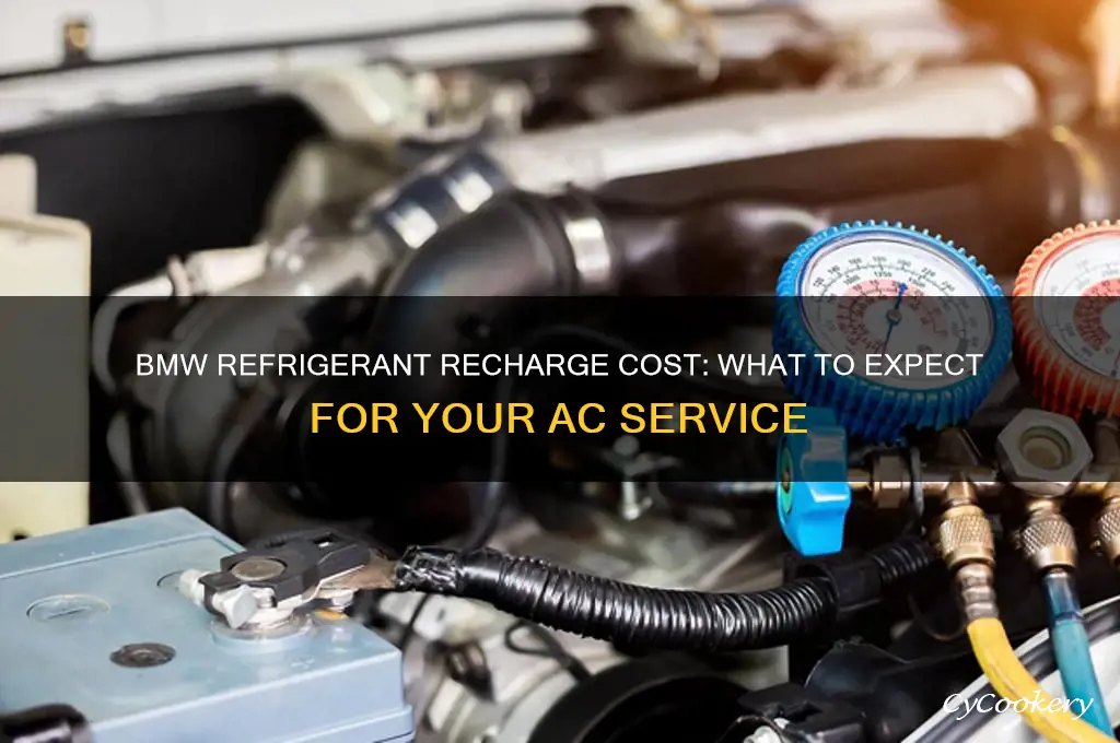 how much is a bmw refrigerant recharge