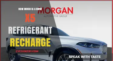 BMW X5 Refrigerant Recharge Cost: What to Expect