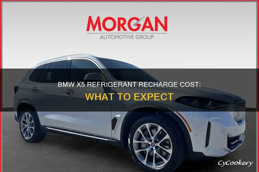 how much is a bmw x5 refrigerant recharge