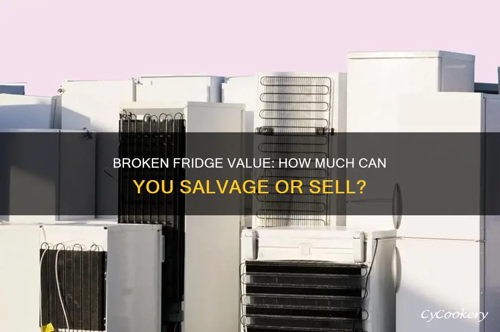 how much is a broken refrigerator worth