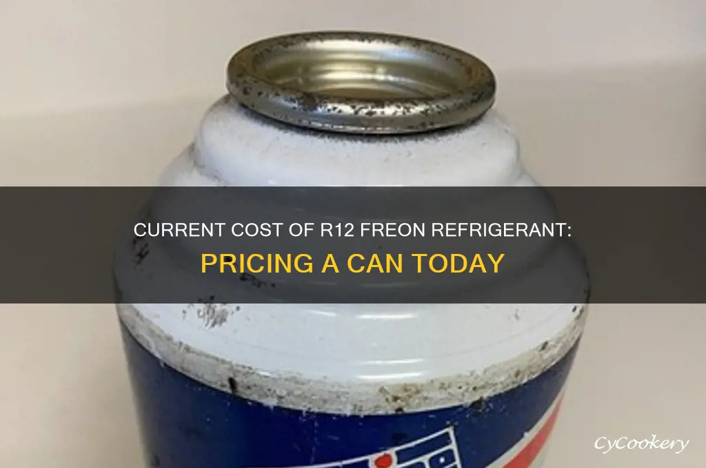 how much is a can of r12 freon refrigerant