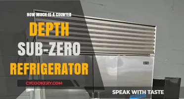 Counter Depth Sub-Zero Refrigerator Cost: What to Expect