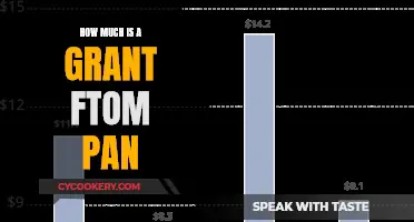 Grants from PAN: How Much?