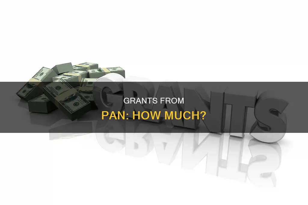 how much is a grant ftom pan