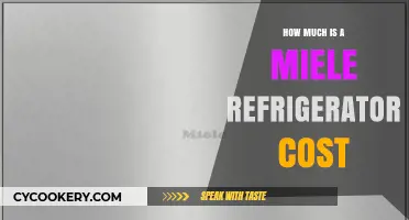 Miele Refrigerator Price Guide: Cost Factors and Budget Tips