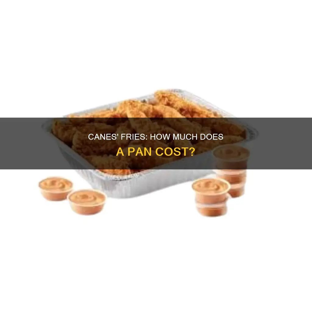 how much is a pan of fries at canes