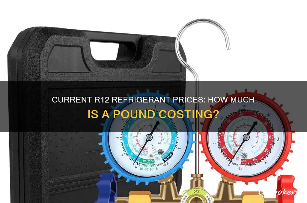 how much is a pound of r12 refrigerant cost