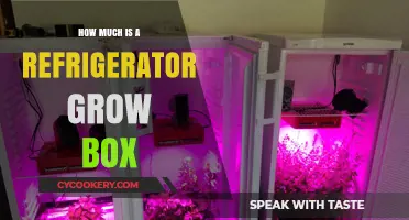 Refrigerator Grow Box Cost: Budget-Friendly Indoor Gardening Solutions