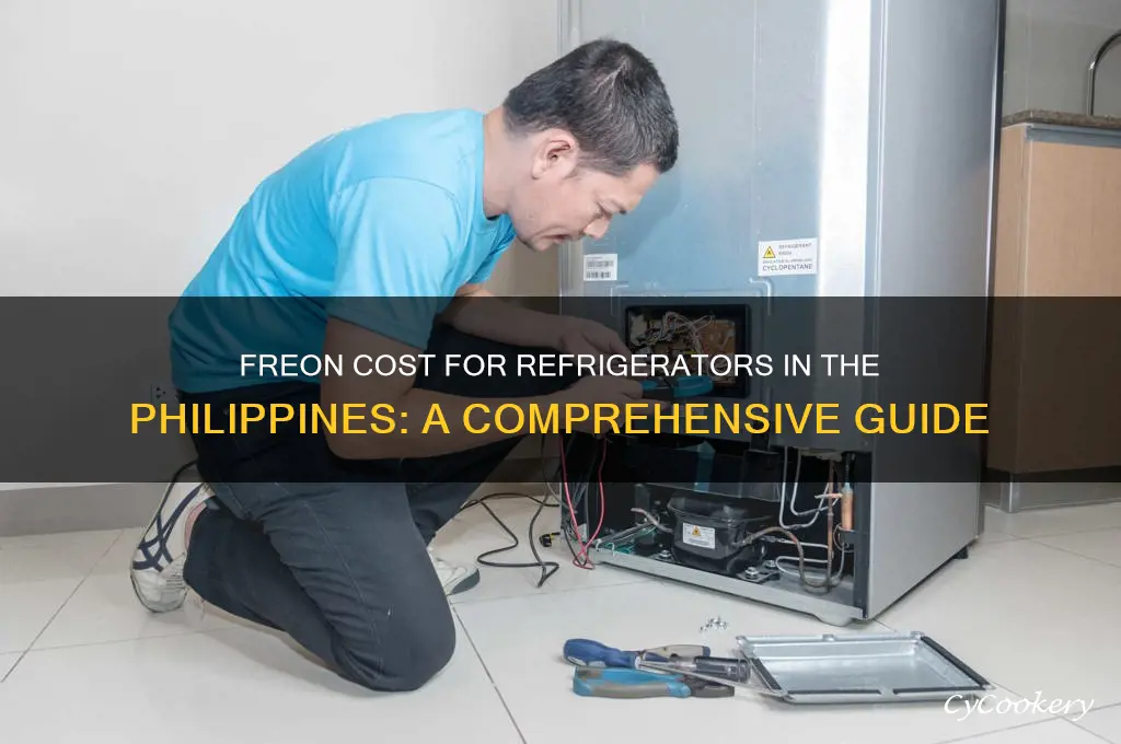 how much is freon for refrigerator philippines