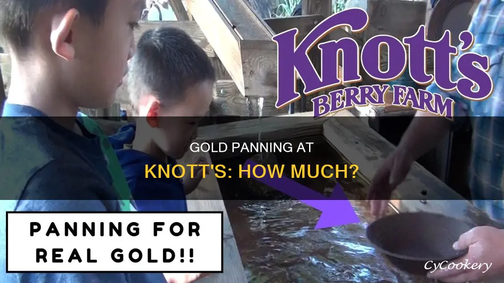 how much is gold panning at knott