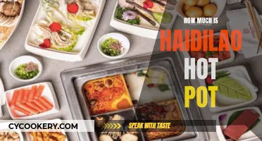 Haidilao Hot Pot: A Spicy Investment?