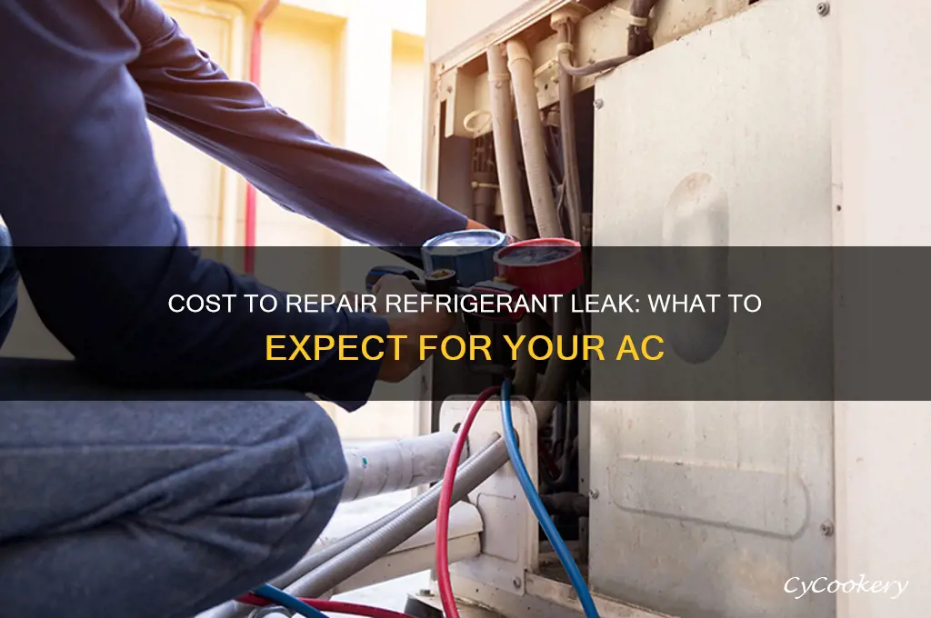 how much is it to fix a refrigerant leak