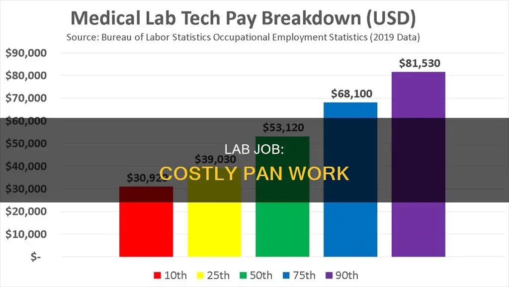 how much is lab job pan