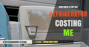 Is Your Old Fridge Draining Your Wallet? Calculate the Hidden Costs
