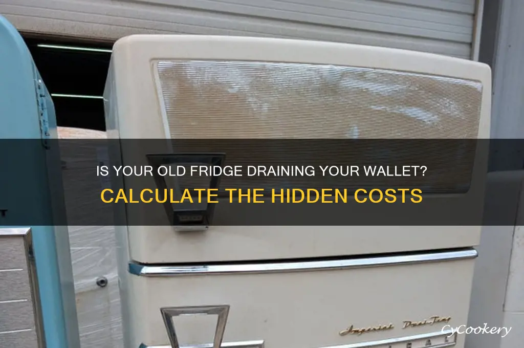 how much is my old refrigerator costing me