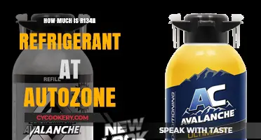 AutoZone R134a Refrigerant Price Guide: Cost and Availability