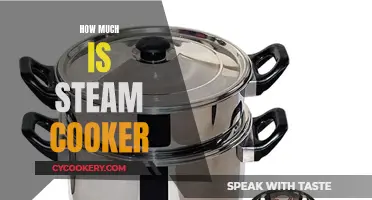 Steam Cookers: Worth the Investment?